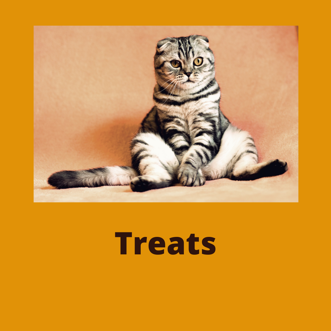 CAT TREATS