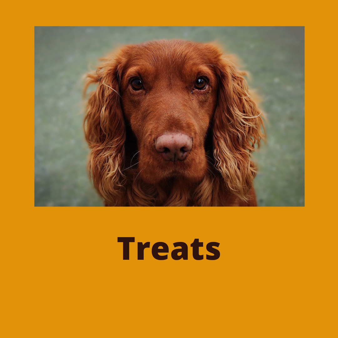 DOG TREATS & CHEWS