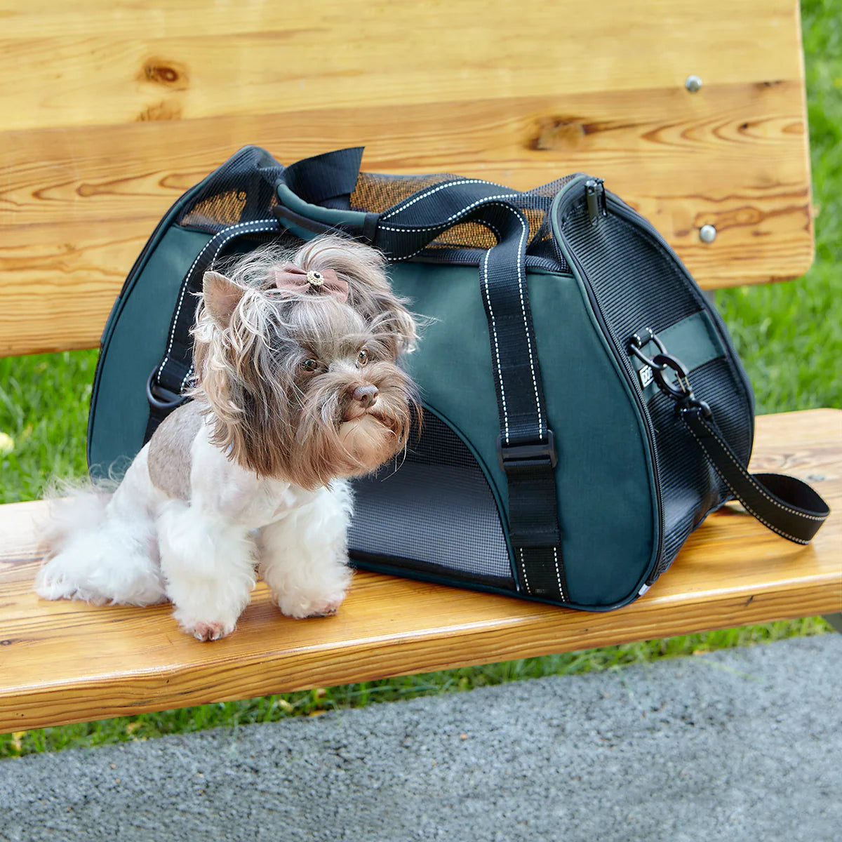 Dogline Pet Carrier Bag