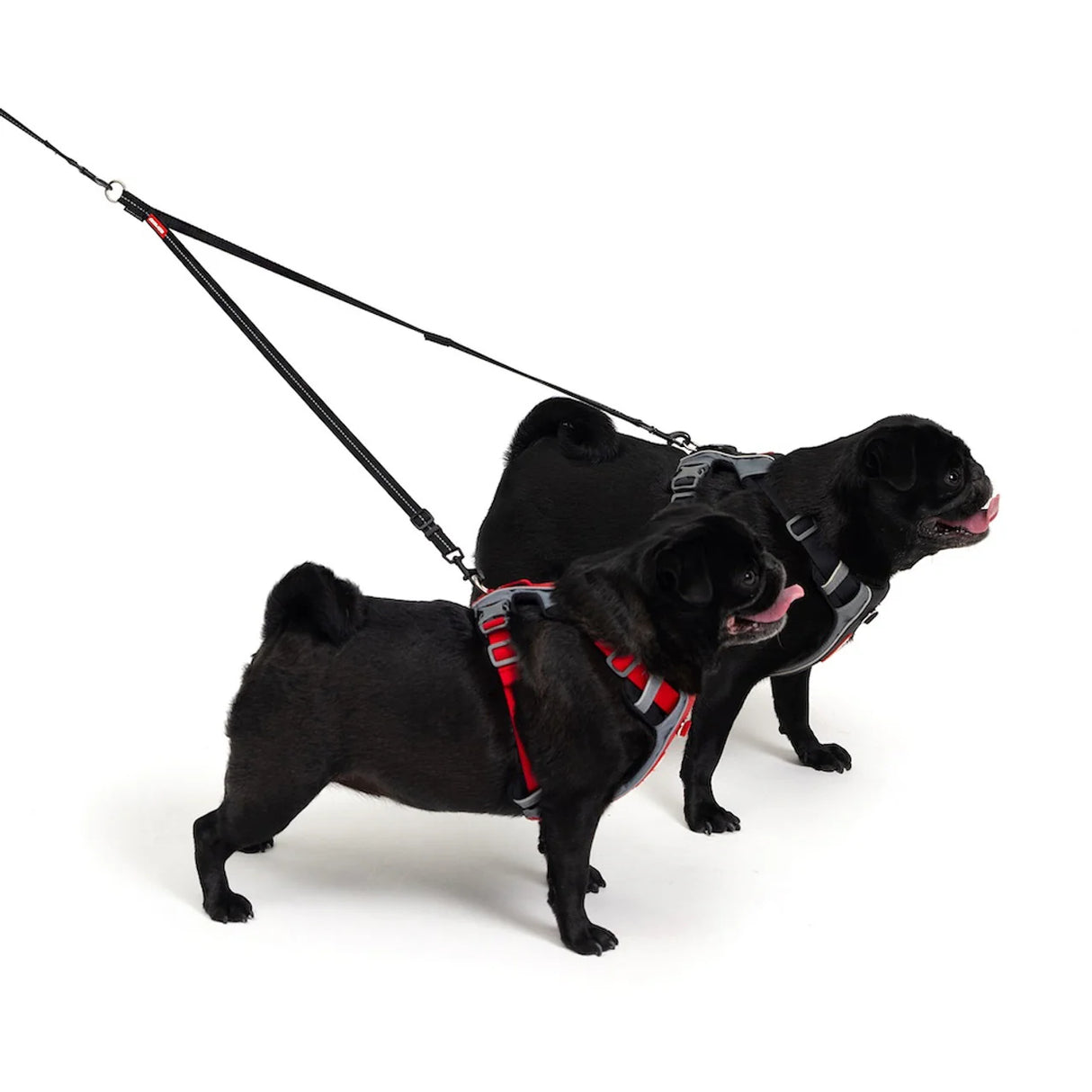 Ezydog Soft Touch™ Leash Couplers