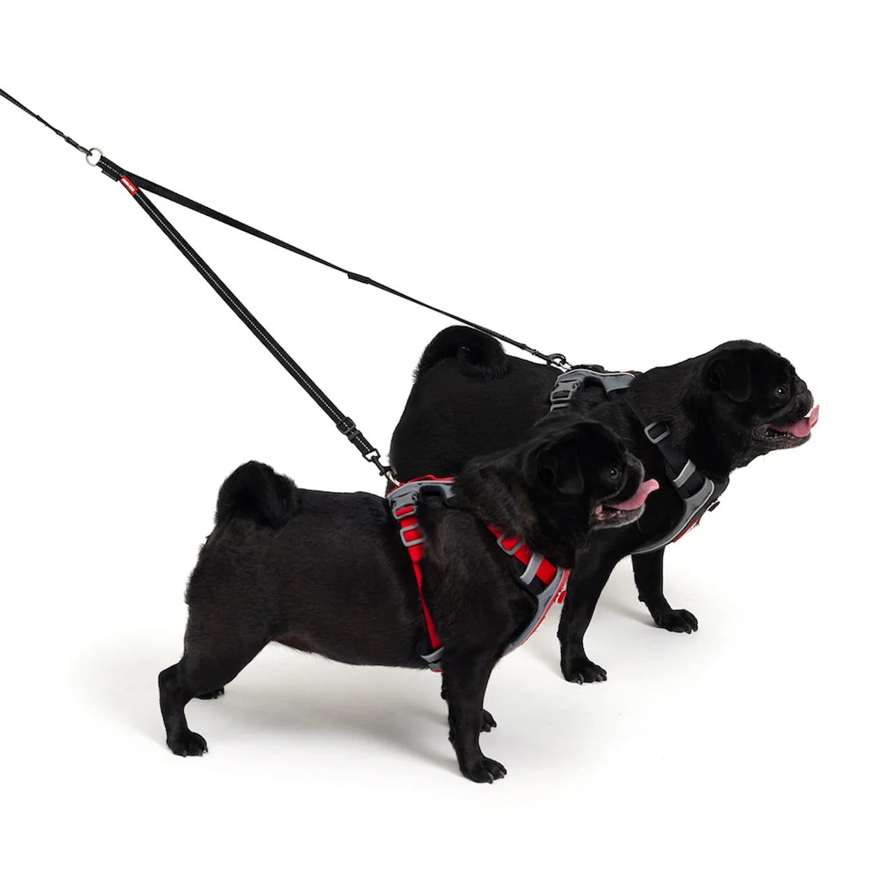 Ezydog Soft Touch™ Leash Couplers