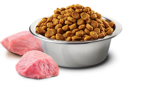 Farmina N&D Lamb, Pumpkin, and Blueberry for Puppies