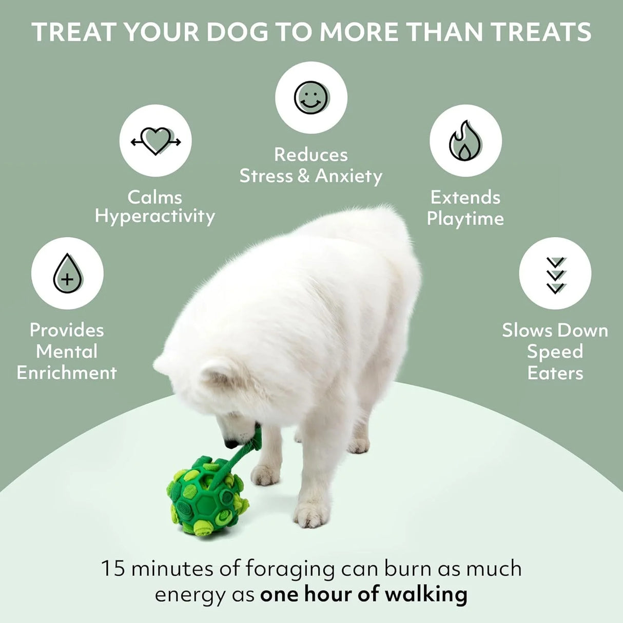 Forager Snuffle Ball Toy