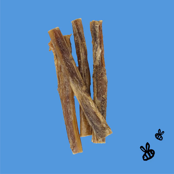 Honey I'm Home 6" Bully Stick 5PK