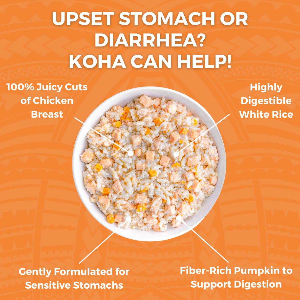 KOHA Limited Ingredient Wet Bland Diet Chicken & White Rice Recipe for Dog