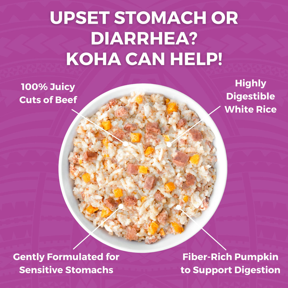 KOHA Wet Bland Diet Beef & White Rice Recipe for Dogs
