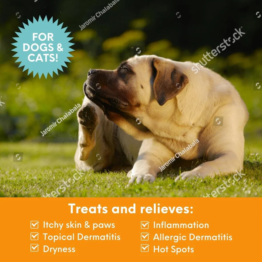 Nootie Itch Relief Medicated Pet Spray