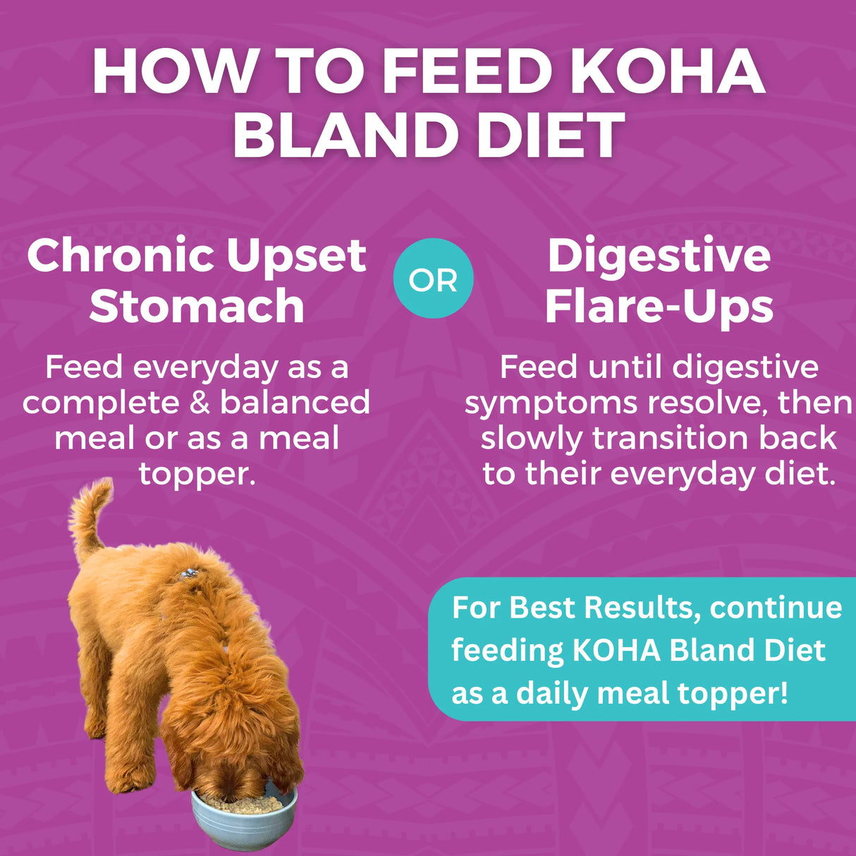 KOHA Wet Bland Diet Beef & White Rice Recipe for Dogs