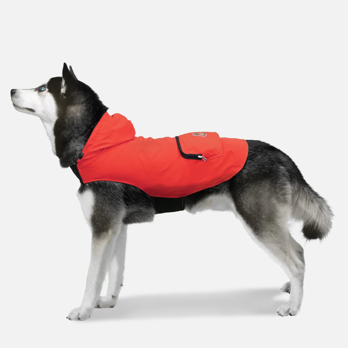 Goo-EEZ Hooded Rain Poncho for Dogs