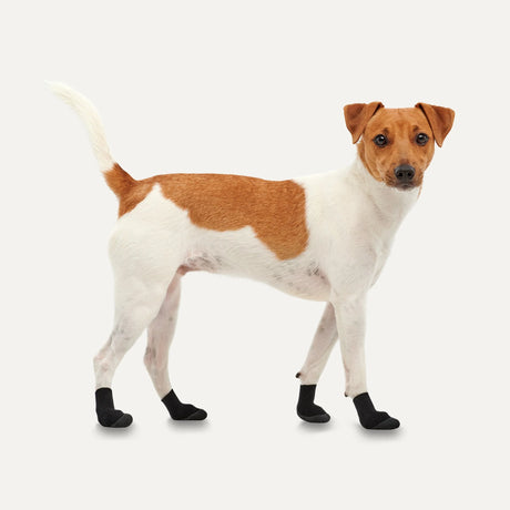 Goo-EEZ LITES All-Season Dog Boots - Black