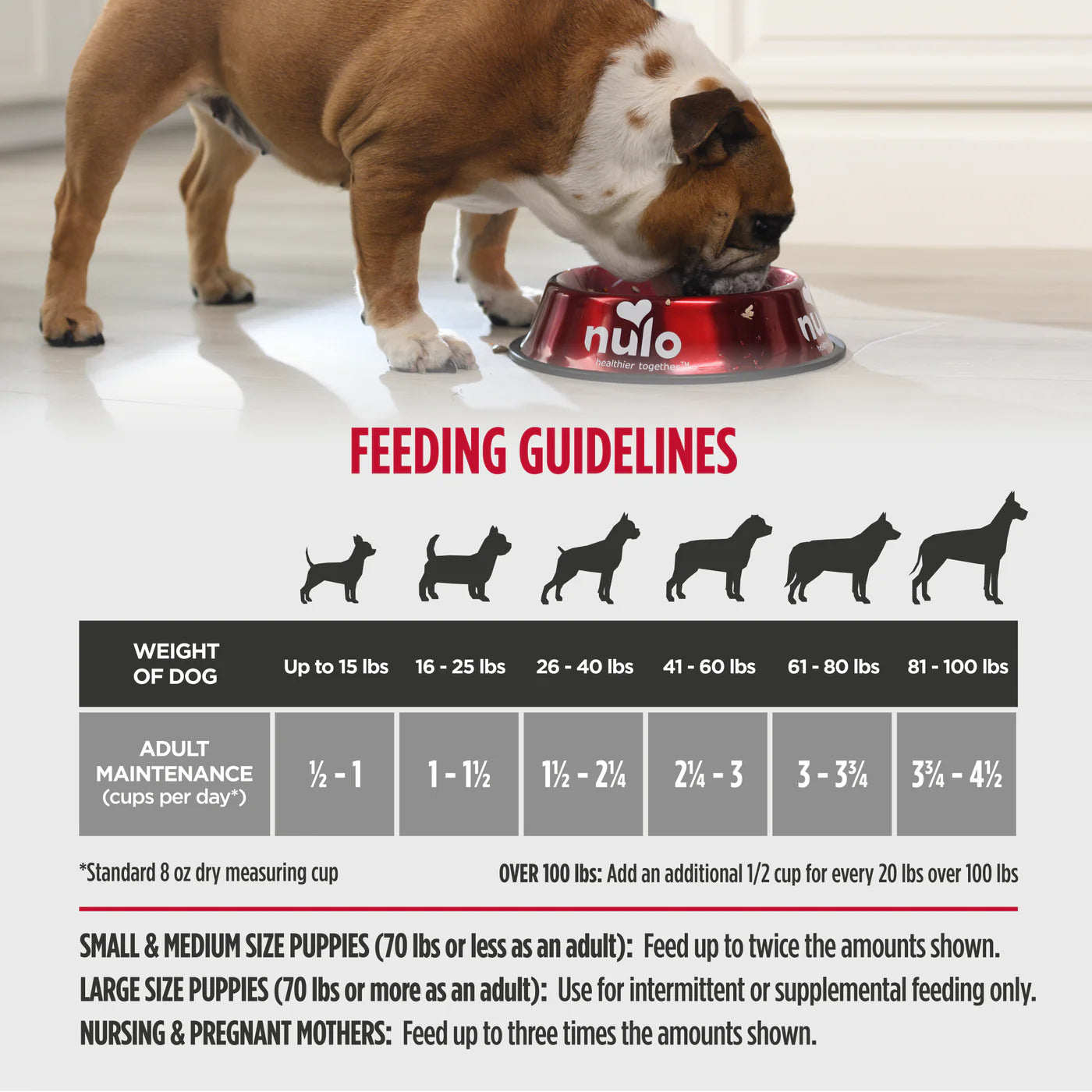 Nulo FreeStyle Limited+ Adult and Puppy Lamb Recipe Dry Dog Food