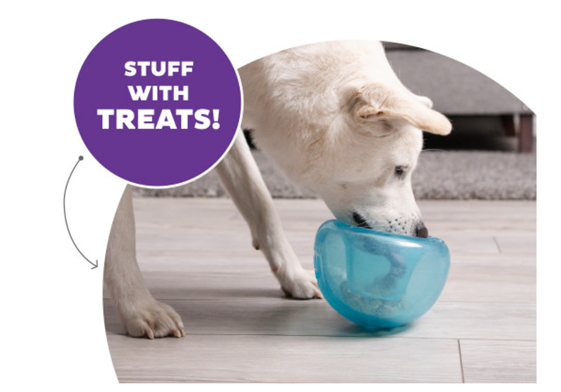 Planet Dog Orbee-Tuff Snoop Interactive Treat Dispensing Dog Toy