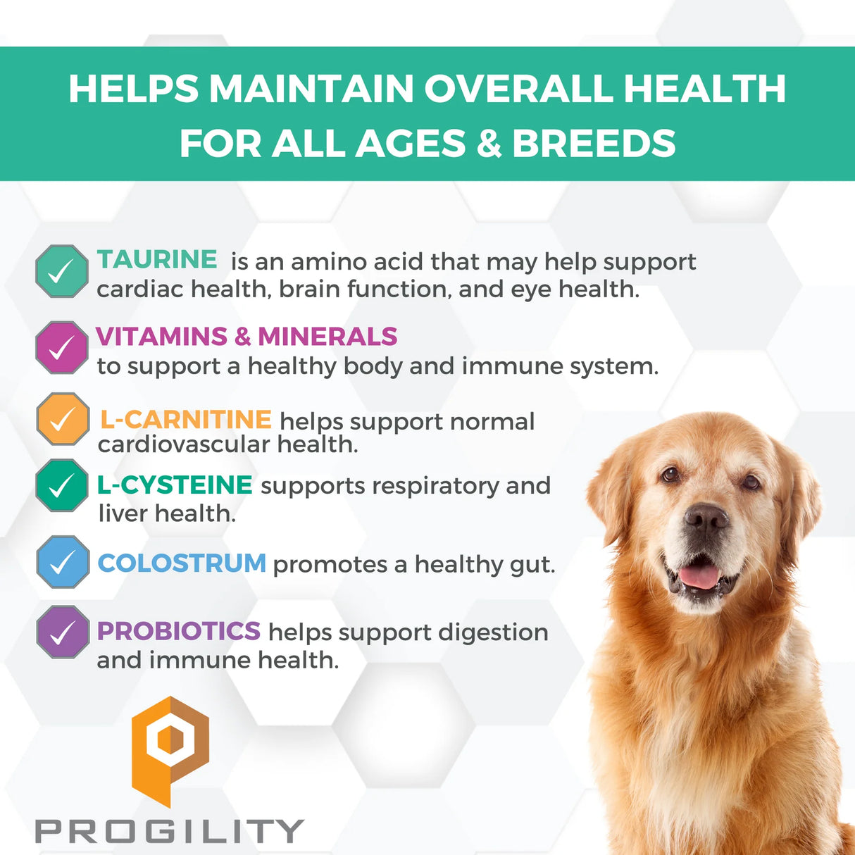 Nootie Progility Multivitamin Soft Chew Supplements for Dogs