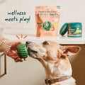 WOOF PUPSICLE POPS ALL-IN-ONE HEALTH