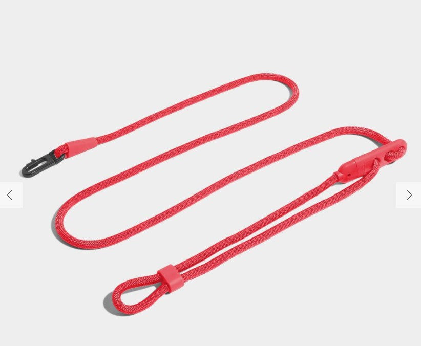 Zee Dog Hands-Free Leash