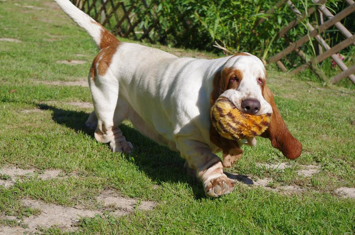 Fluff & Tuff Tiger Ball