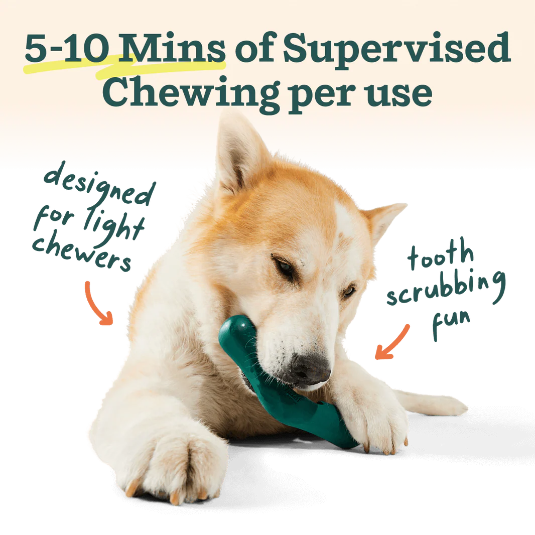 Woof The Bite N' Brush Dog Dental Chew