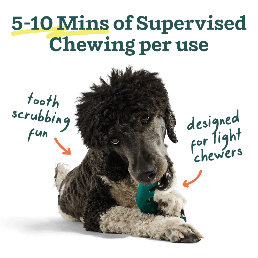 Woof Bite n' Brush Dog Dental Chew Refills