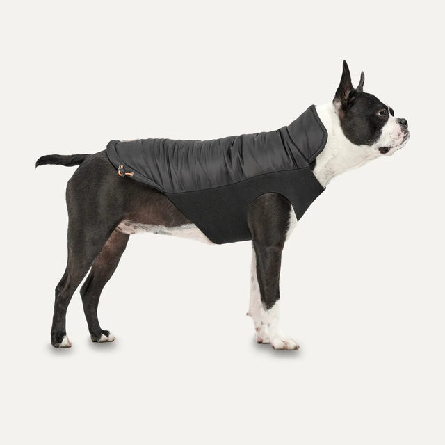 Goo-eez Mock Neck Winter Jacket - Black