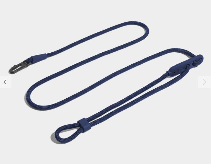 Zee Dog Hands-Free Leash