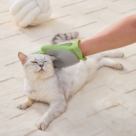 PetPals Grooming Glove for Dogs & Cats