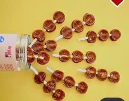 ARYA SIT DENTAL CHEWS