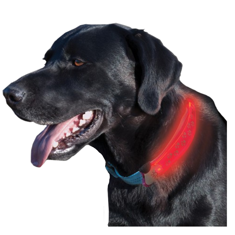 NITE DAWG LED COLLAR COVER