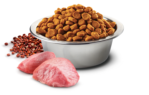 Farmina N&D Digestion Lamb and Quinoa for Adult Dogs