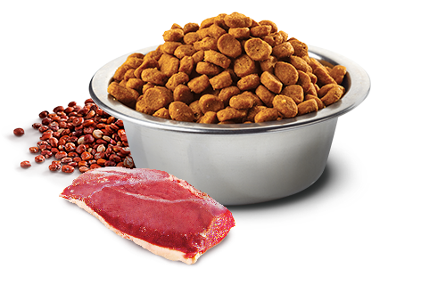 Farmina N&D Skin & Coat Duck, Quinoa, Coconut, and Tumeric for Adult Dogs