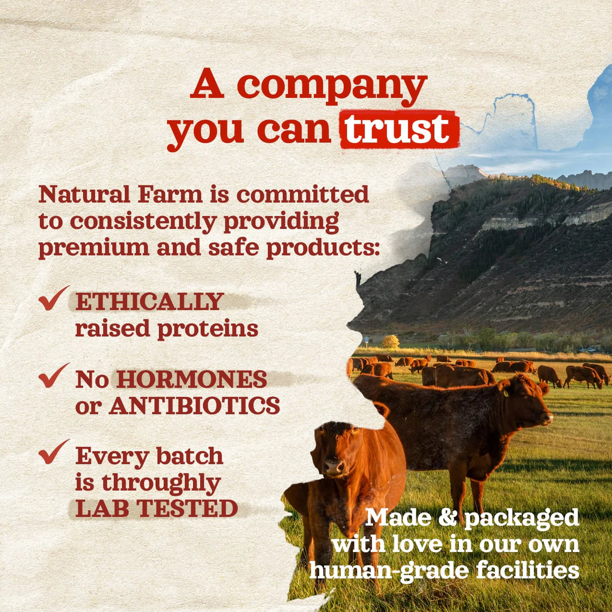 Natural Farm Bacon & Cheese Filled Bones Dog Chews