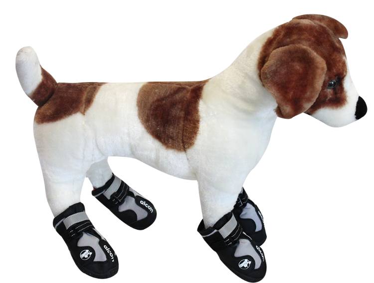 Alcott Explorer Adventure Boots for Dogs