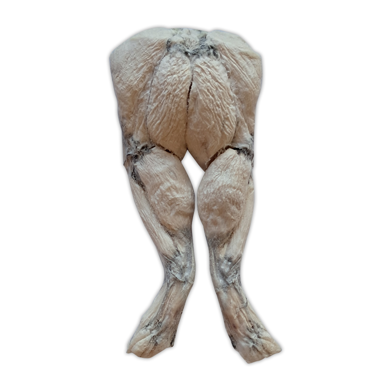 Bulk - Bones and Co Freeze-Dried Frog Legs Dog Chew