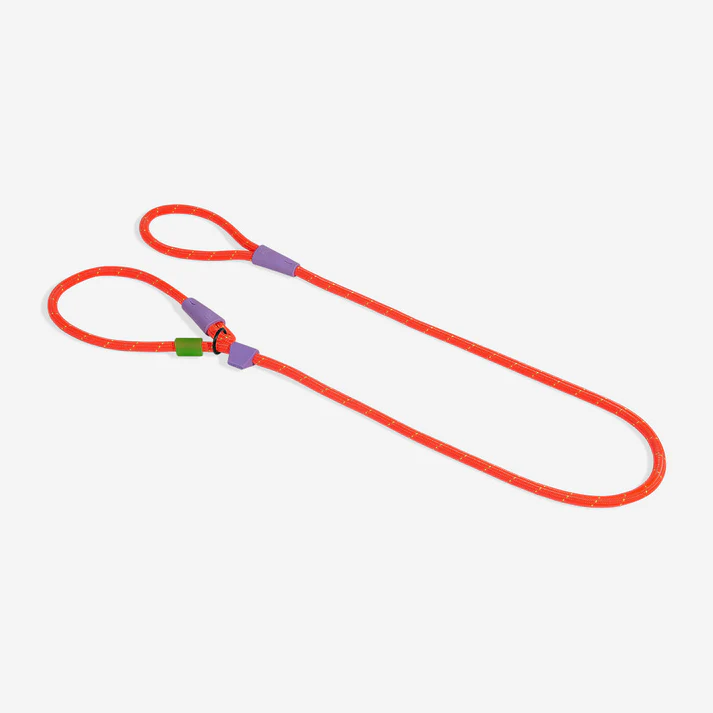 Zee Dog Slip-N-Lock Leash for Dogs