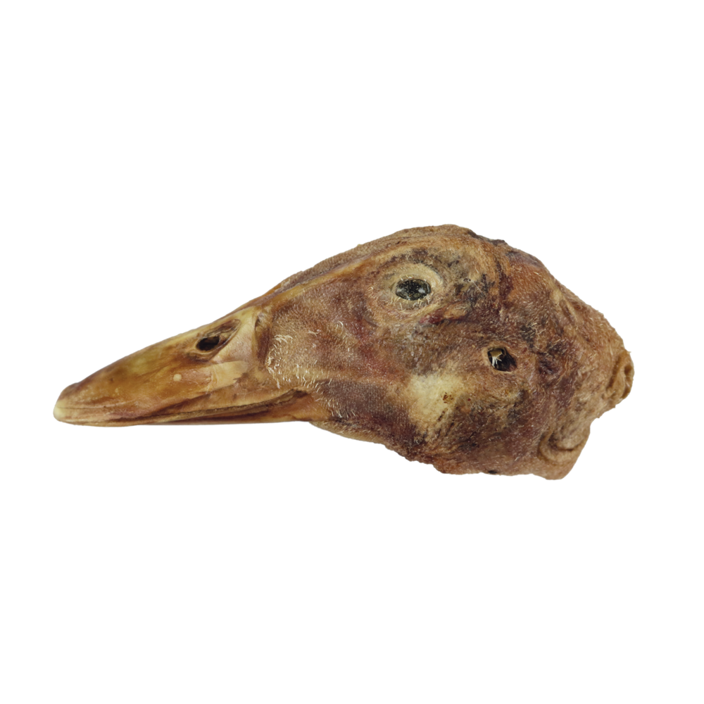 BULK - DUCK HEAD