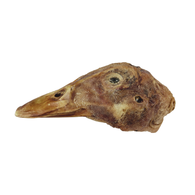 BULK - DUCK HEAD