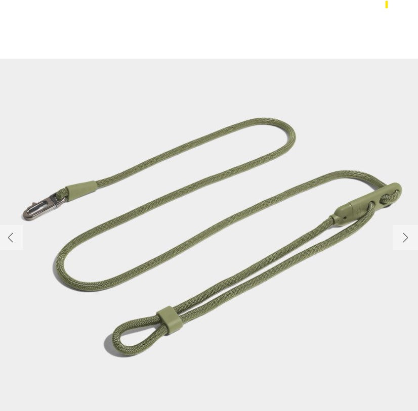 Zee Dog Hands-Free Leash