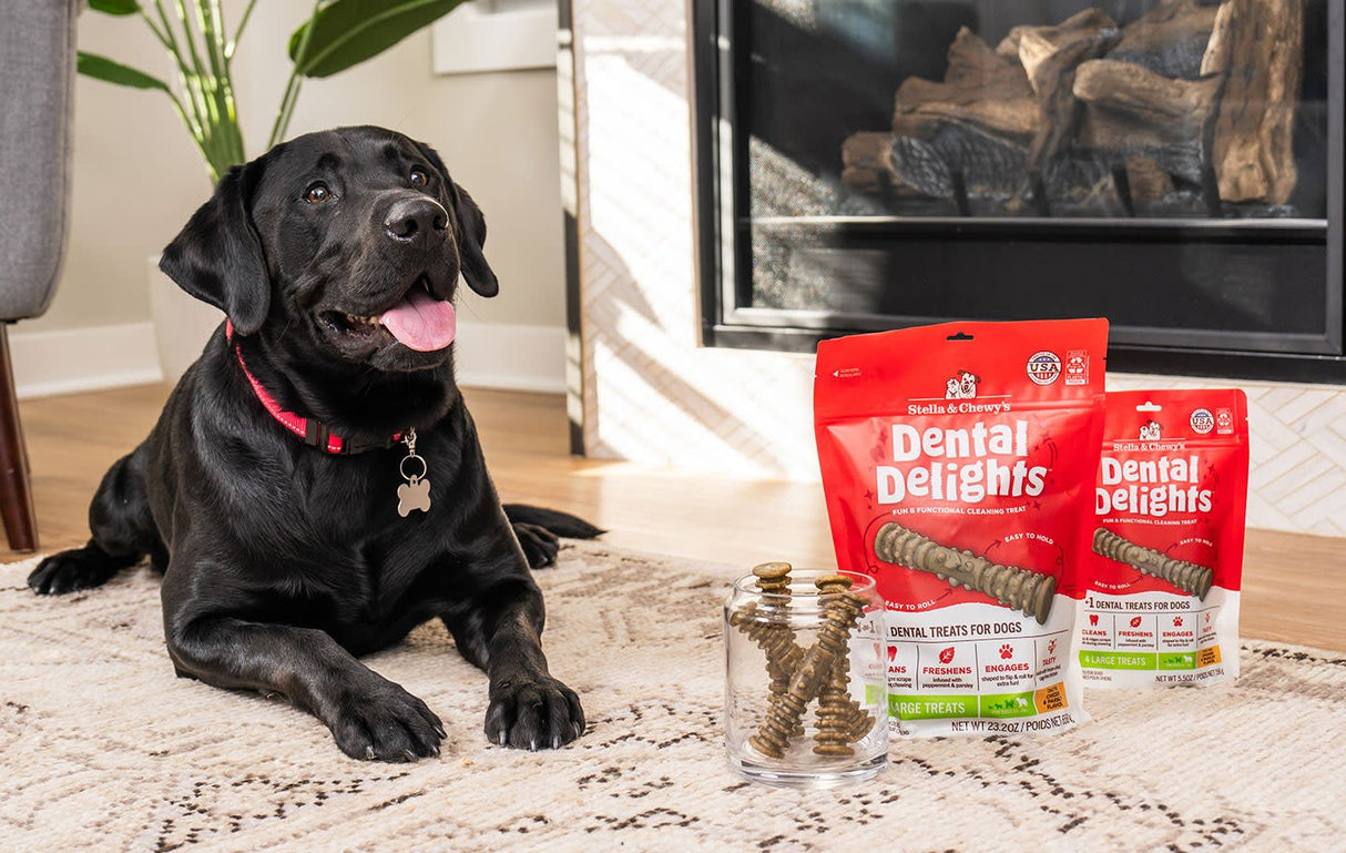 STELLA AND CHEWYS DENTAL DELIGHTS LARGE