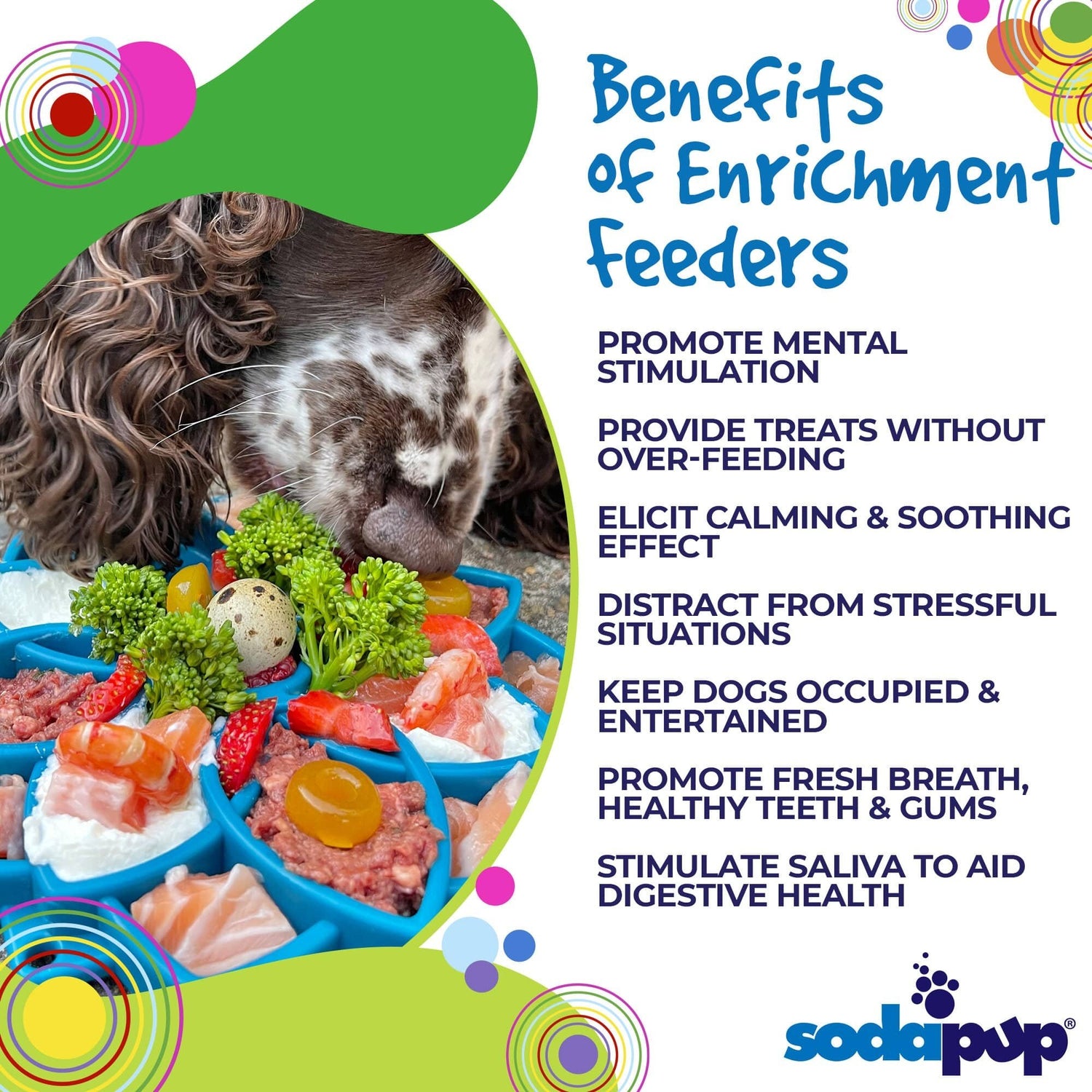 Sodapup Mandala Enrichment Tray