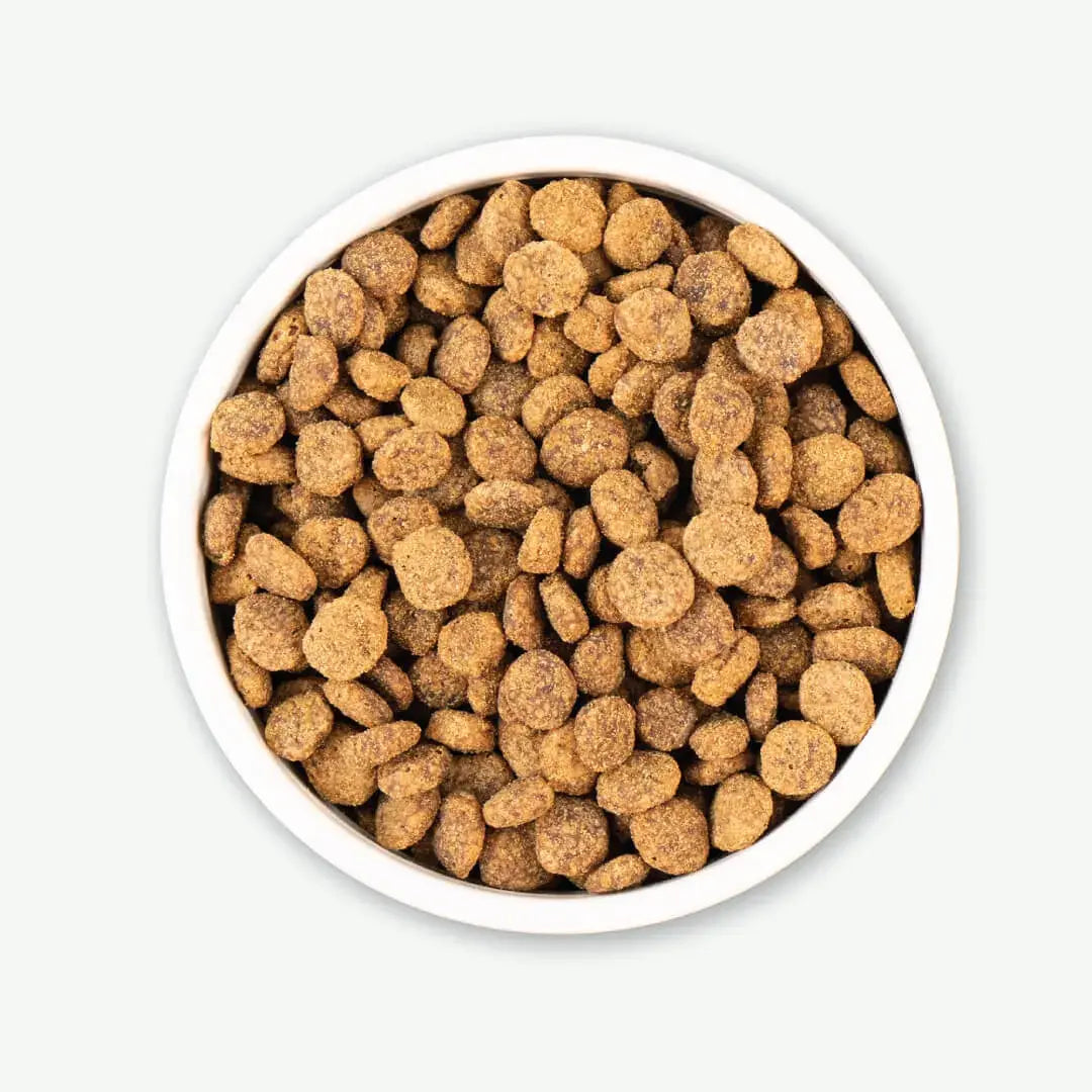 Earthborn Holistic Venture Rabbit Meal & Pumpkin