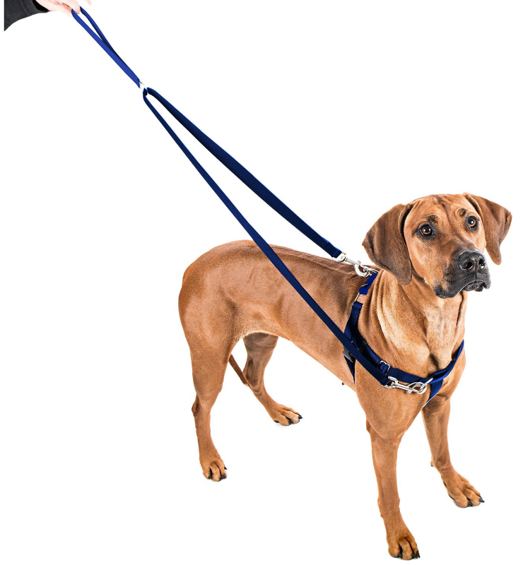 FREEDOM NO-PULL HARNESS