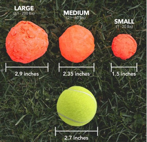 Wunderball Natural Rubber Dog Toy