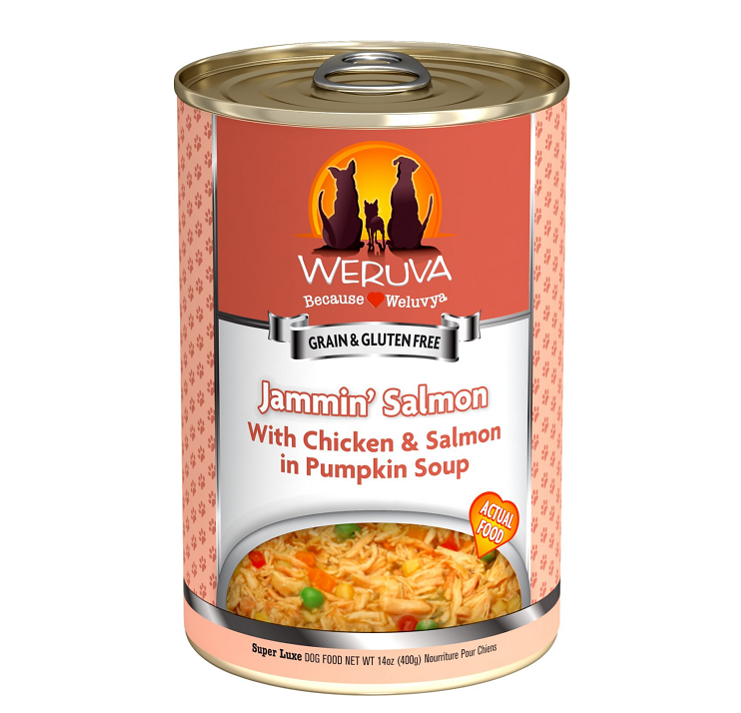 WERUVA JAMMIN SALMON DOG