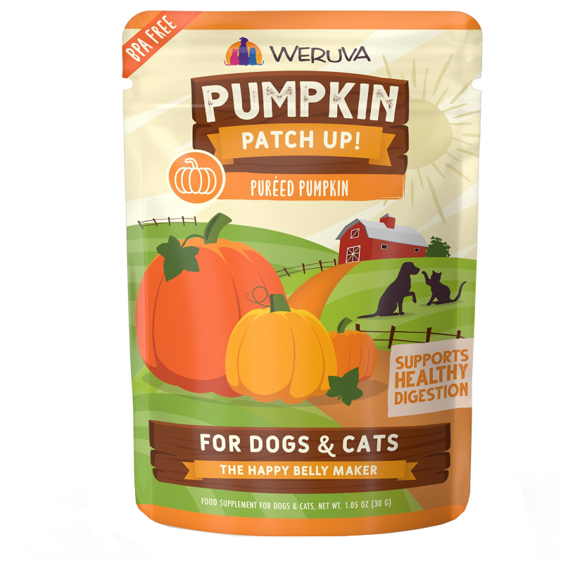 WERUVA PUMPKIN PATCH UP POUCH