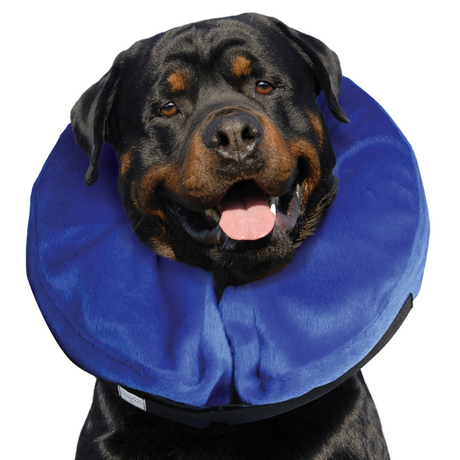 KONG CLOUD E-COLLAR