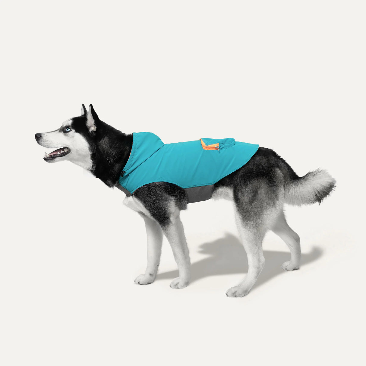 Goo-EEZ Hooded Rain Poncho for Dogs