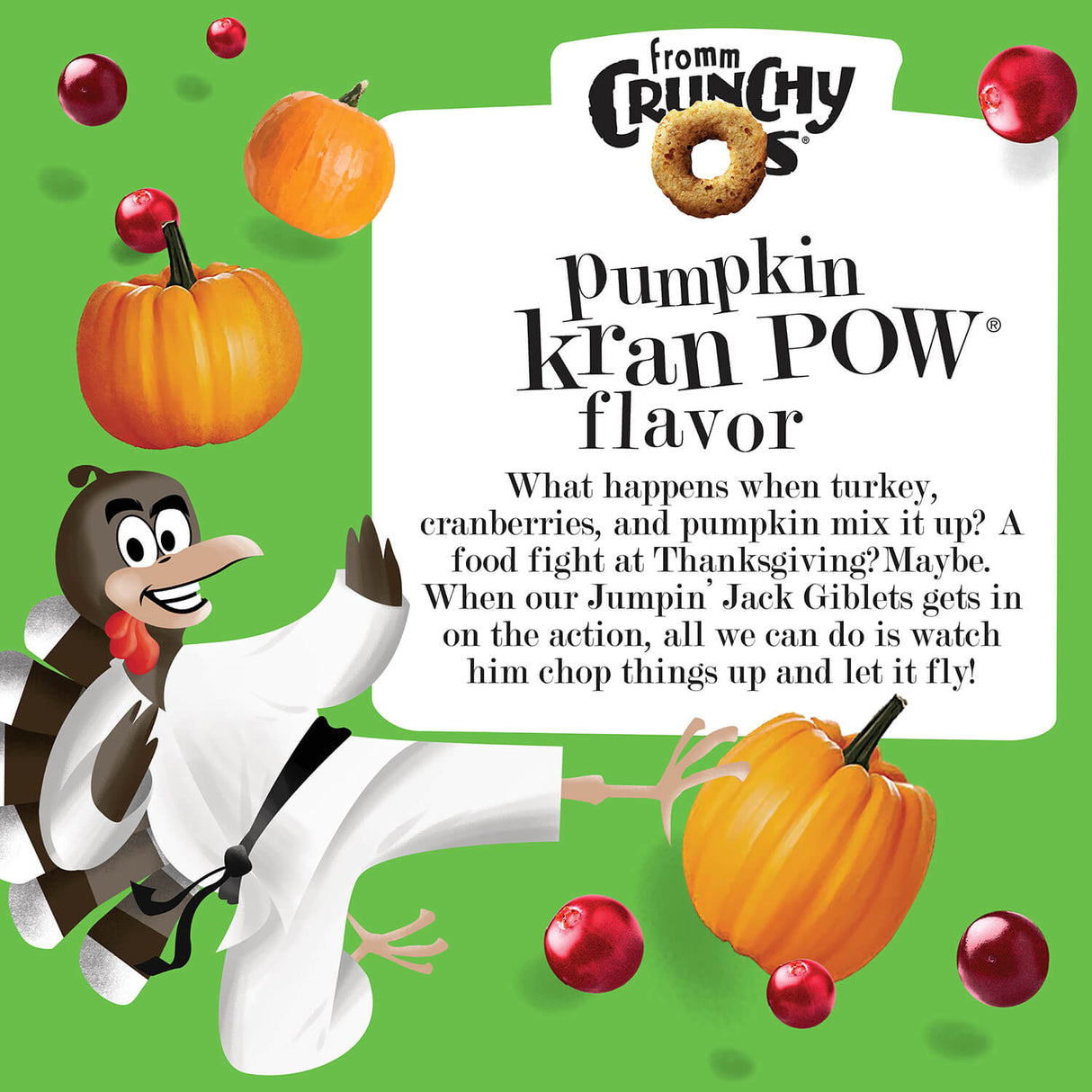 Fromm Crunchy O's Pumpkin Kran Pow Dog Treats