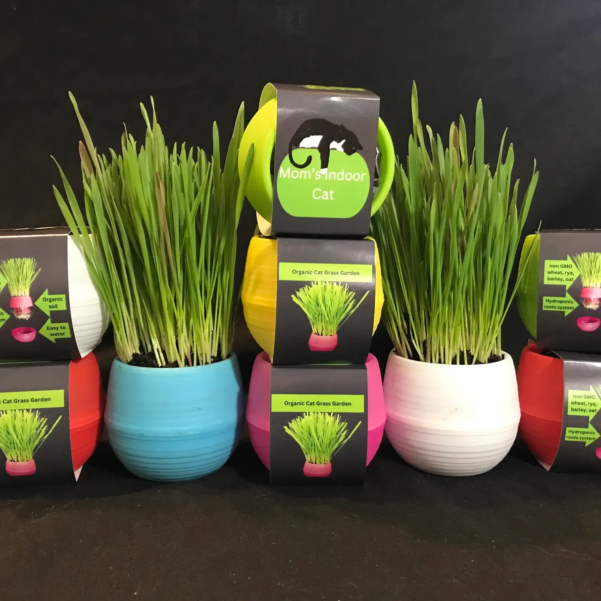 Tailswag Cat Grass Garden Balls
