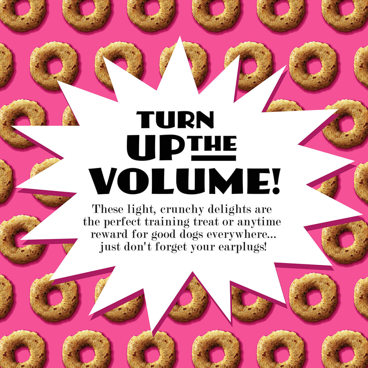 Fromm Crunchy O's Slammon Smoked Salmon Dog Treats