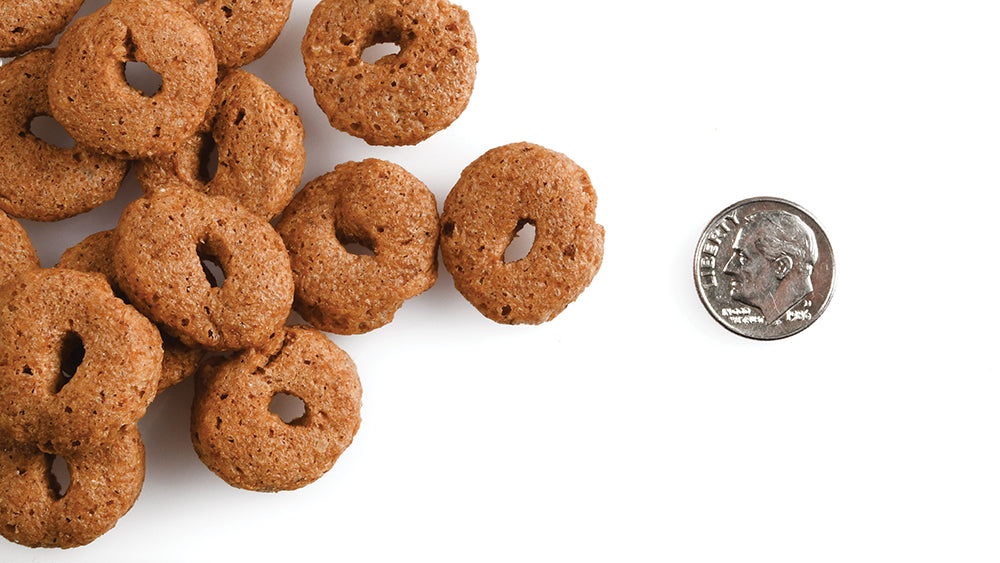 Fromm Crunchy O's Slammon Smoked Salmon Dog Treats