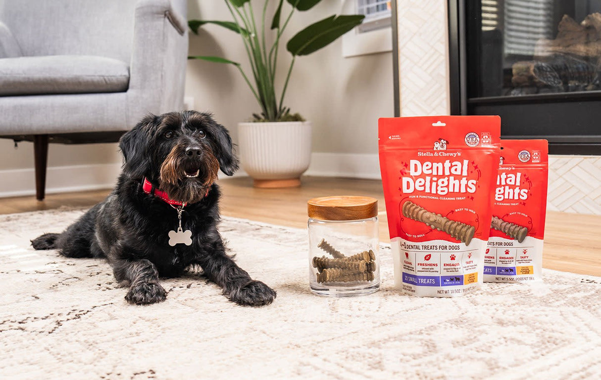 STELLA AND CHEWYS DENTAL DELIGHTS SMALL